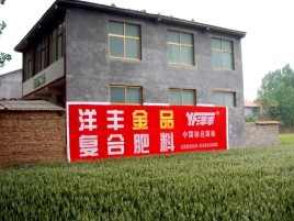  萧县如何让墙体广告展现最大化效果